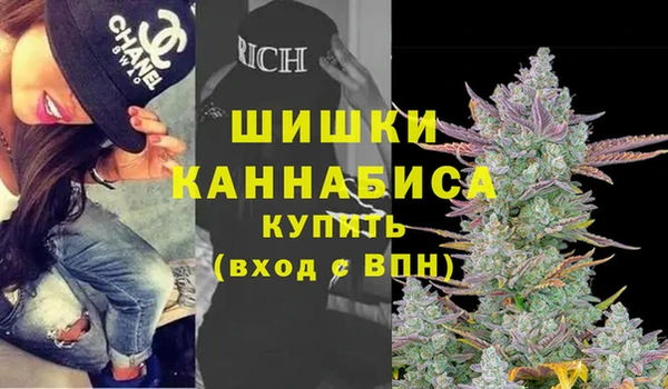 ПСИЛОЦИБИНОВЫЕ ГРИБЫ Балабаново
