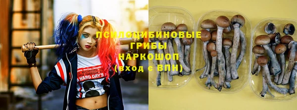 мескалин Балахна