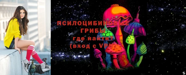 spice Покров