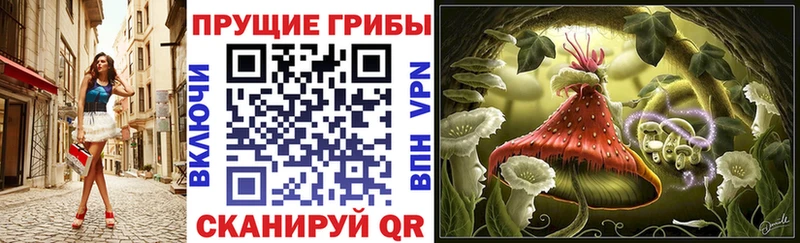 Галлюциногенные грибы ЛСД Уржум